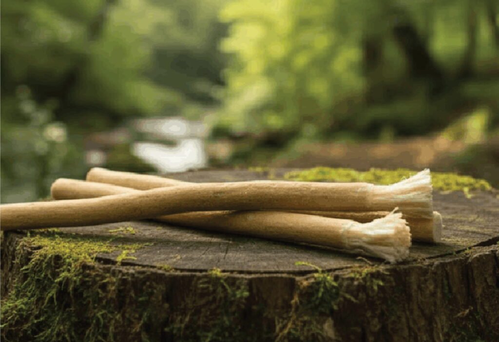 Sewak Al Hijazi Natural Miswak Toothbrush For Teeth Whitening , Maswak.jpg