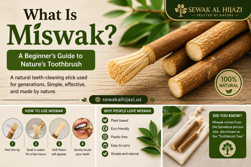 What Is Miswak A Beginner's Guide to Nature's Toothbrush Sewak Sticks